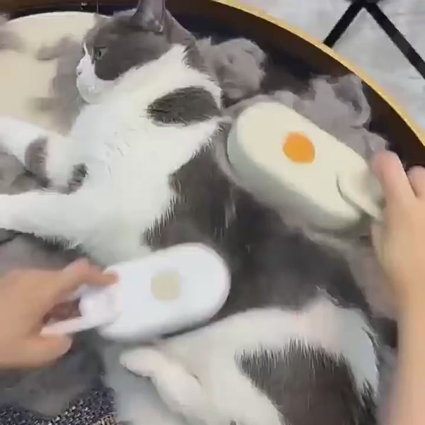 3-in-1 Electric Pet Steam Brush – Cleaning, Hair Removal & Massage Grooming Comb with Spray and 360° Rotating Handle